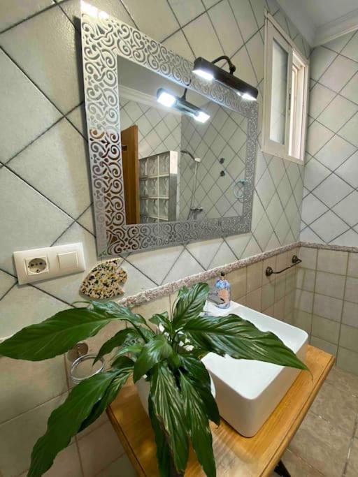 Vila La Casa Del San Anton Níjar Exteriér fotografie