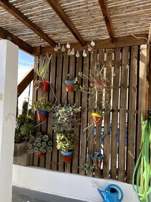 Vila La Casa Del San Anton Níjar Exteriér fotografie